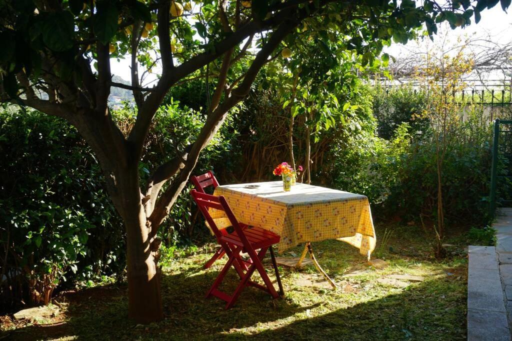 Cosy Guest House With Private Yard Saronida Экстерьер фото