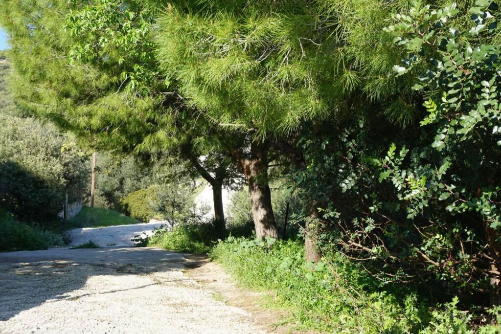 Cosy Guest House With Private Yard Saronida Экстерьер фото